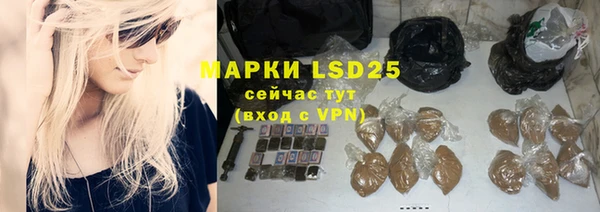 винт Алзамай