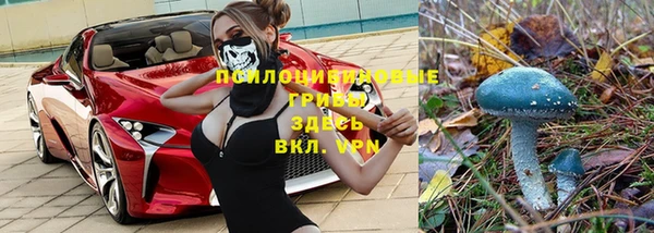 2c-b Алексин