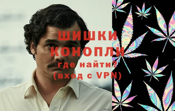 винт Алзамай