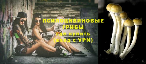 винт Алзамай